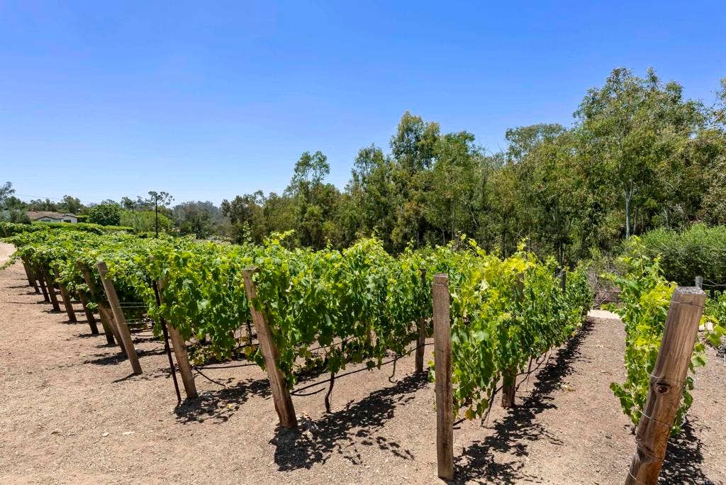 5293 La Glorieta, Rancho Santa Fe, CA 92067 5293 La Glorieta, Rancho Santa Fe, CA 92067