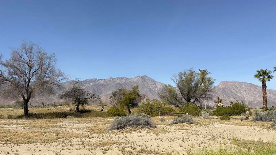 Property photo for 0 Foursome Drive, Borrego Springs, CA