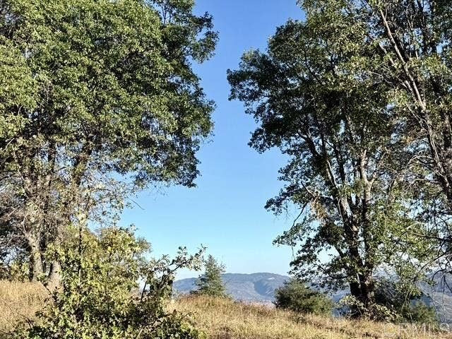 29 Acres East Grade Road, Palomar Mountain, CA 92060 29 Acres East Grade Road, Palomar Mountain, CA 92060