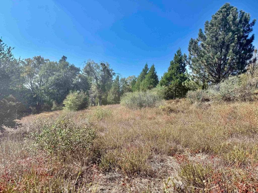 29 Acres East Grade Road, Palomar Mountain, CA 92060 29 Acres East Grade Road, Palomar Mountain, CA 92060