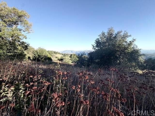 29 Acres East Grade Road, Palomar Mountain, CA 92060 29 Acres East Grade Road, Palomar Mountain, CA 92060