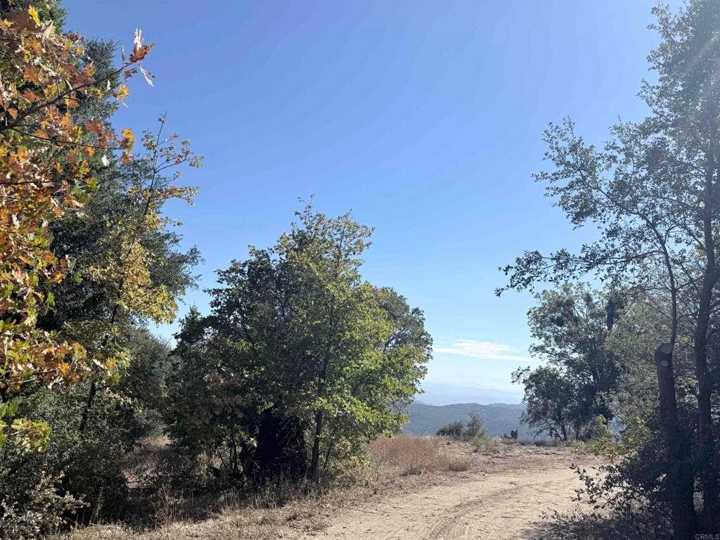 29 Acres East Grade Road, Palomar Mountain, CA 92060 29 Acres East Grade Road, Palomar Mountain, CA 92060