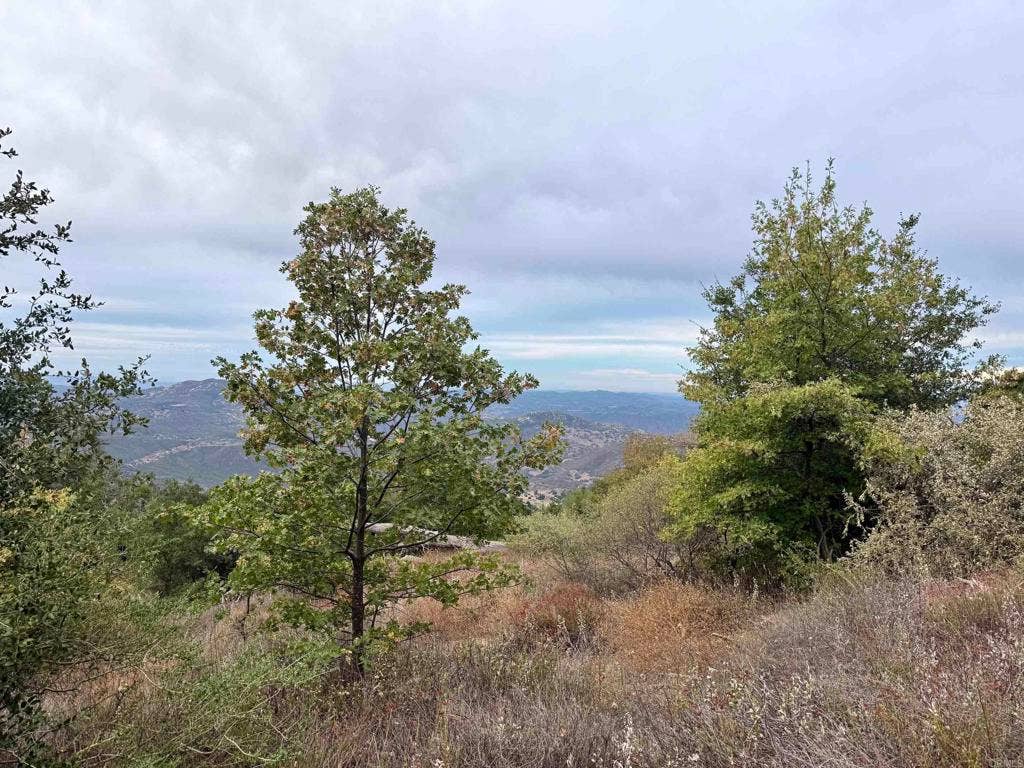 29 Acres East Grade Road, Palomar Mountain, CA 92060 29 Acres East Grade Road, Palomar Mountain, CA 92060