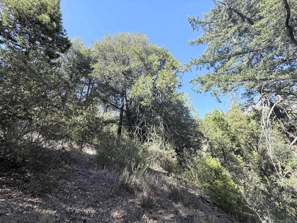 29 Acres East Grade Road, Palomar Mountain, CA 92060 29 Acres East Grade Road, Palomar Mountain, CA 92060