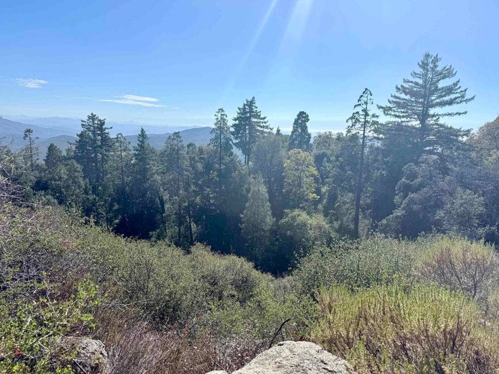 29 Acres East Grade Road, Palomar Mountain, CA 92060 29 Acres East Grade Road, Palomar Mountain, CA 92060