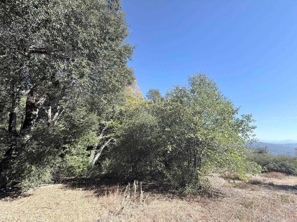29 Acres East Grade Road, Palomar Mountain, CA 92060 29 Acres East Grade Road, Palomar Mountain, CA 92060