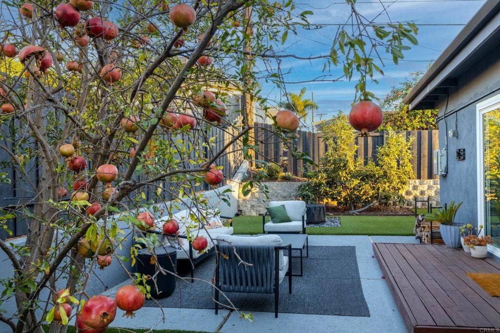 4975 Greenbrier Avenue, San Diego, CA 92120 Pomegranate tree