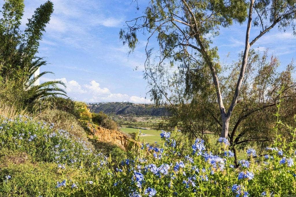 4616 Rancho Reposo, Del Mar, CA 92014 4616 Rancho Reposo, Del Mar, CA 92014