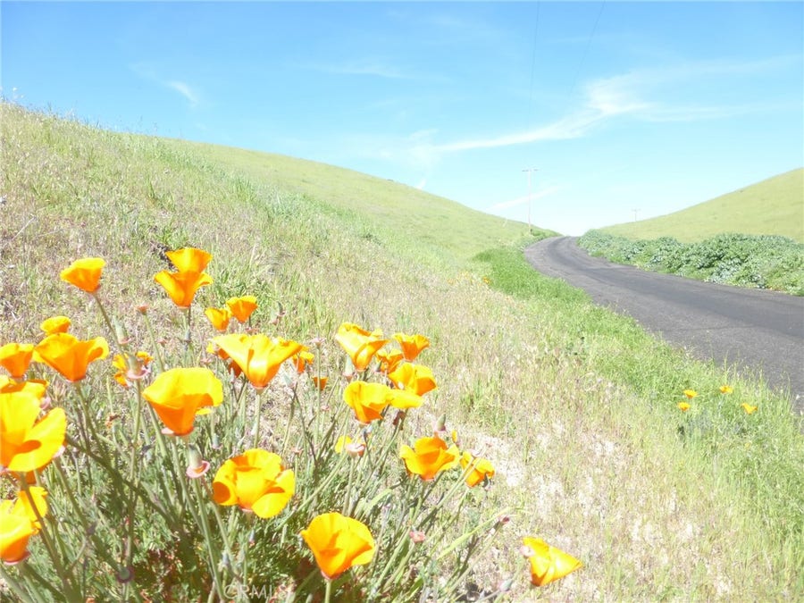 Property photo for 0 Douglas Rd. (Lots 28, 33 & 34), San Miguel, CA