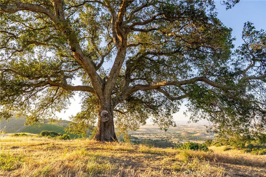 Property photo for 2762 Adelaida Road, Paso Robles, CA
