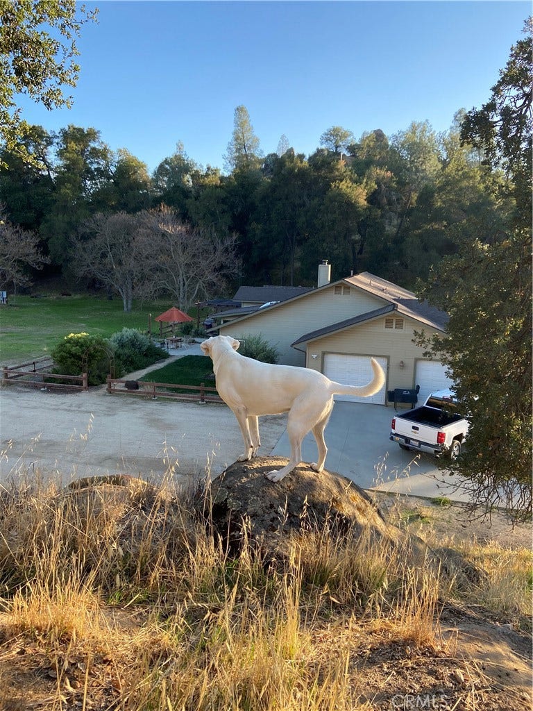 1575 Parkhill Road, Santa Margarita, CA 93453 1575 Parkhill Road, Santa Margarita, CA 93453