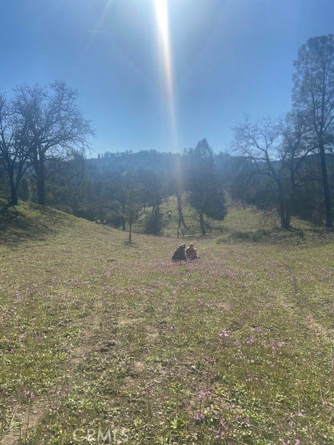 1575 Parkhill Road, Santa Margarita, CA 93453 1575 Parkhill Road, Santa Margarita, CA 93453