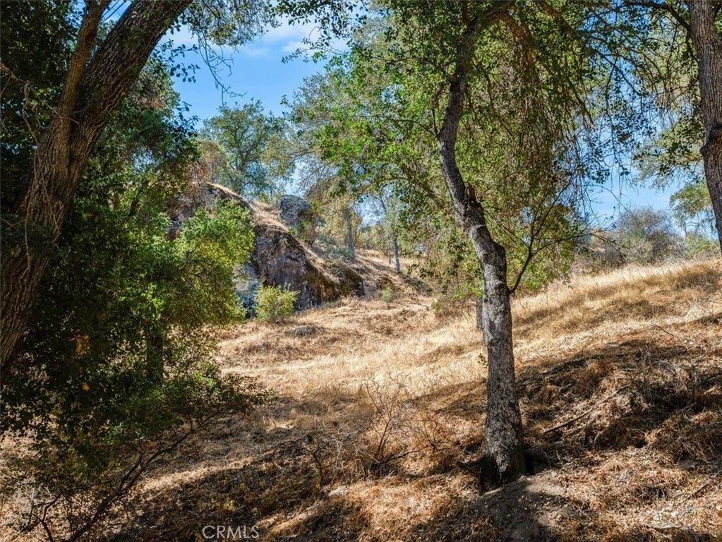 1575 Parkhill Road, Santa Margarita, CA 93453 1575 Parkhill Road, Santa Margarita, CA 93453