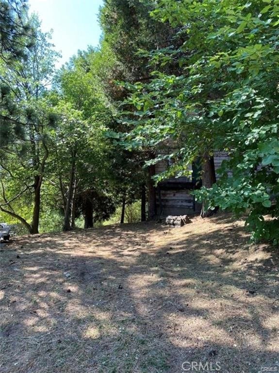 Property photo for 0 Pine Drive, Cedarpines Park, CA