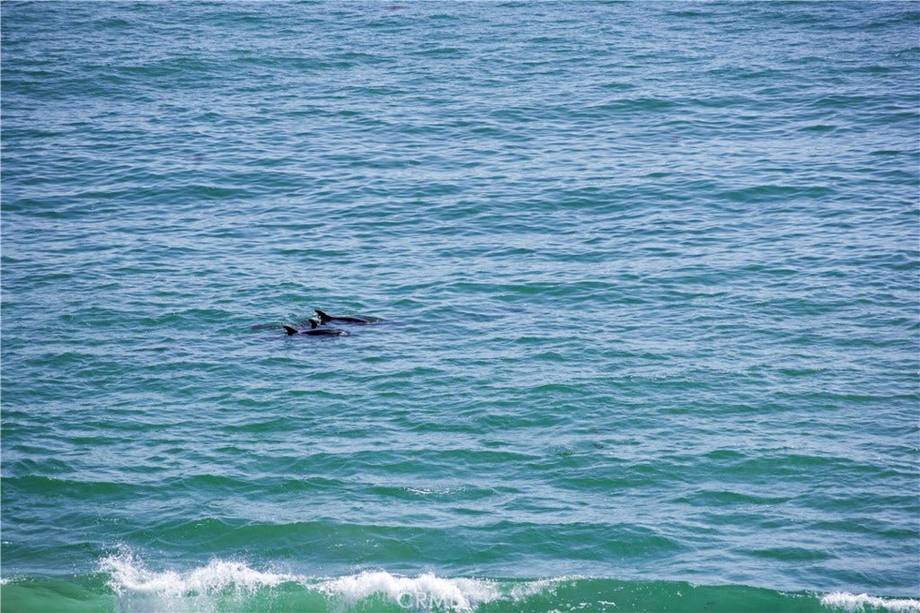 328 Boca Del Canon, San Clemente, CA 92672 328 Boca Del Canon, San Clemente, CA 92672