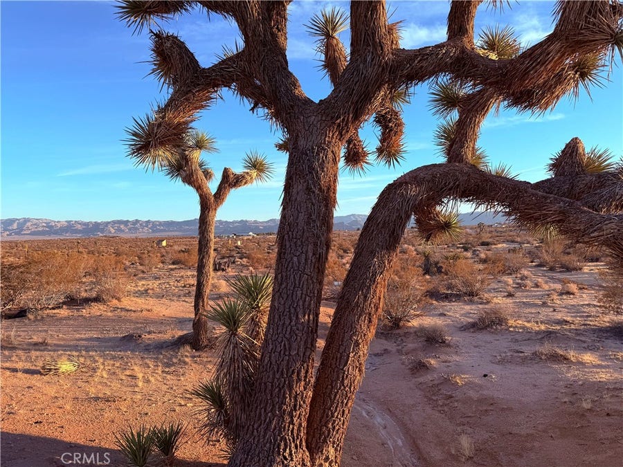Property photo for 2700 Del Sol, Joshua Tree, CA