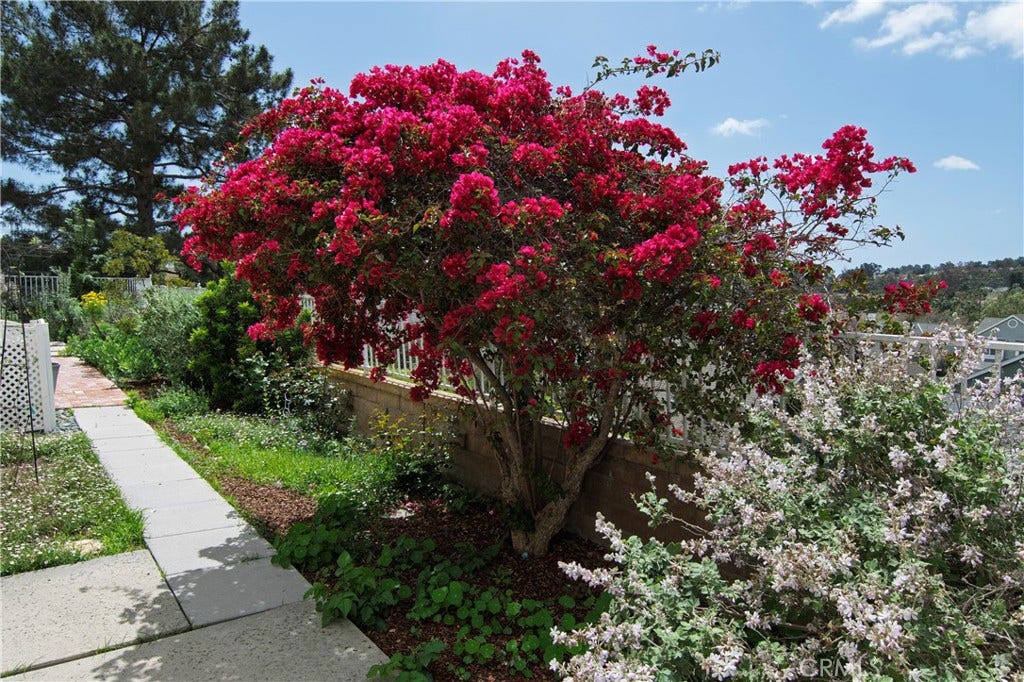 28242 Elmwood, Mission Viejo, CA 92692 28242 Elmwood, Mission Viejo, CA 92692