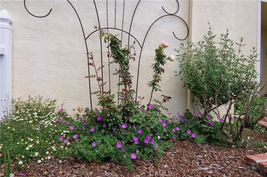 28242 Elmwood, Mission Viejo, CA 92692 28242 Elmwood, Mission Viejo, CA 92692