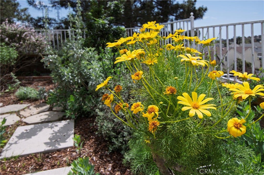 28242 Elmwood, Mission Viejo, CA 92692 28242 Elmwood, Mission Viejo, CA 92692