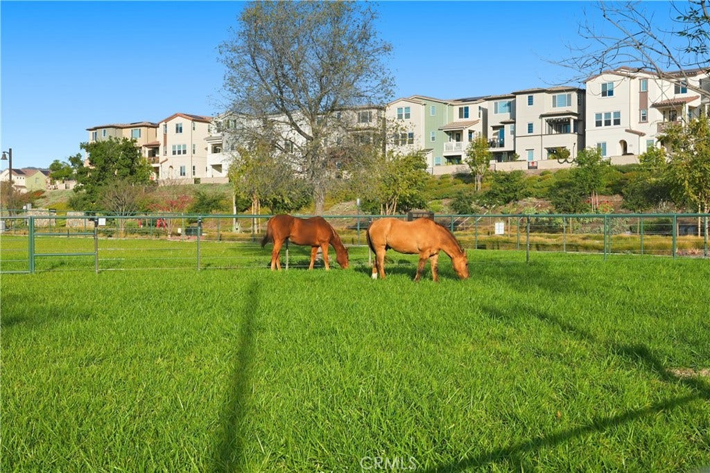 361 Gelding Way, Rancho Mission Viejo, CA 92694 Neighborhood Horses