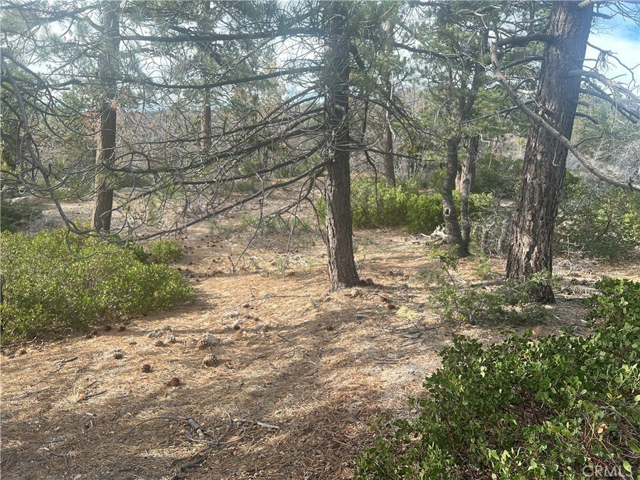 Property photo for 0 Hardy, Arrowbear, CA