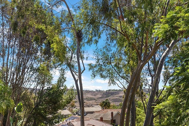 55 Fleurance, Laguna Niguel, CA 92677 The view from the back yard of the Laguna Niguel valley and hills . . . GORGEOUS!