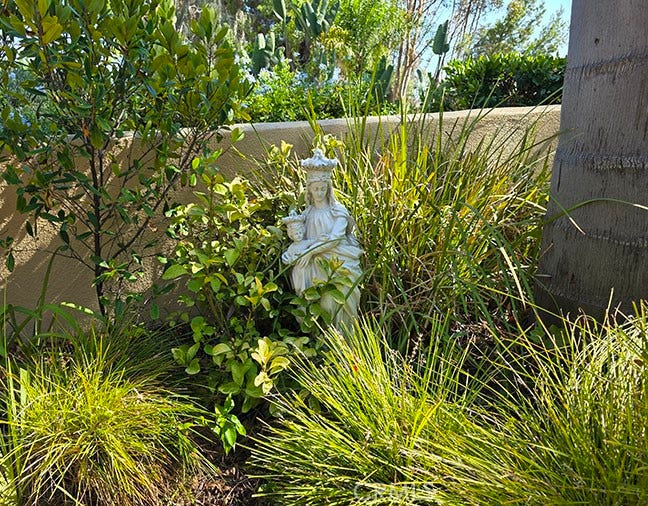55 Fleurance, Laguna Niguel, CA 92677 Mother nature at her best