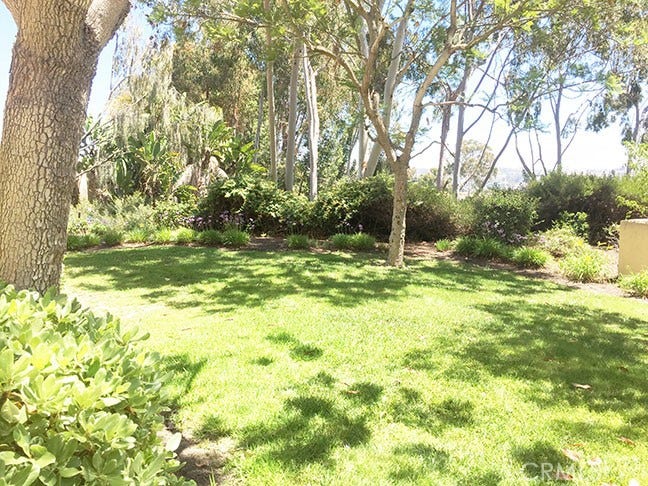 55 Fleurance, Laguna Niguel, CA 92677 Greenbelt view from the back yard