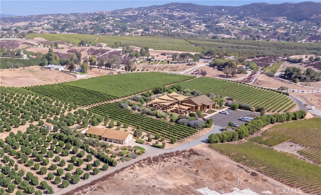 36733 Glenoaks, Temecula, CA 92592 Conceptual AI photo of from Grove to Vineyard
