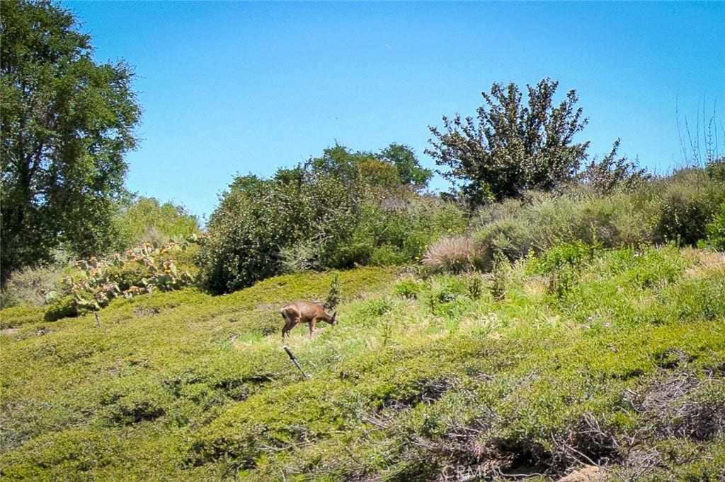 58 Mira Mesa, Rancho Santa Margarita, CA 92688 58 Mira Mesa, Rancho Santa Margarita, CA 92688