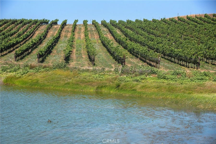 Property photo for 2590 CHILENO VALLEY ROAD, Petaluma, CA