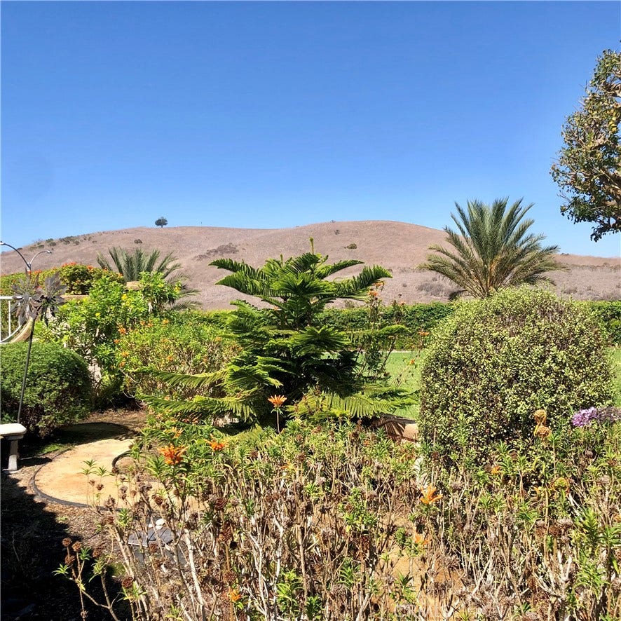 Another view of the front yard garden