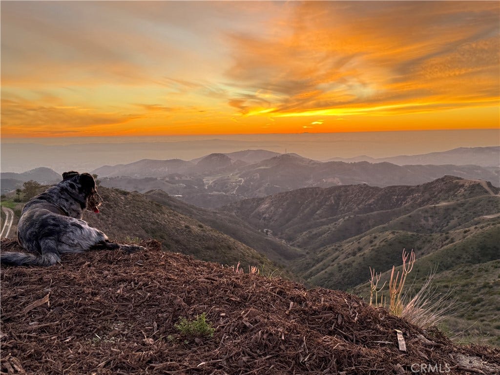 16 Williams Canyon, Silverado, CA 92676 16 Williams Canyon, Silverado, CA 92676