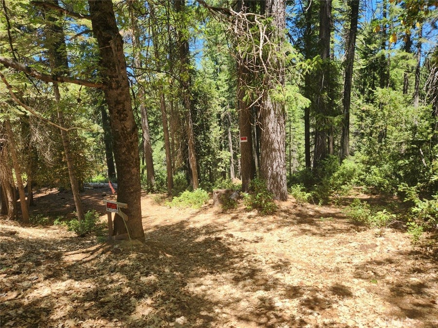 Property photo for 6296 Merry Way, Clipper Mills, CA