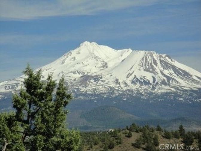 Property photo for 5115 Palomino Rd, Weed, CA