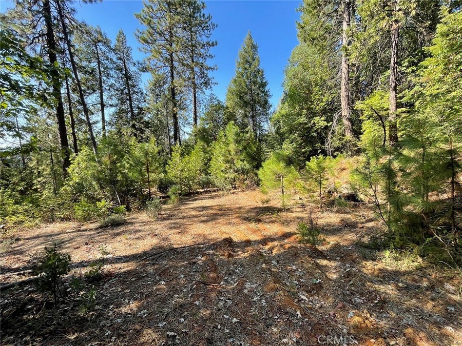 Property photo for 0 Forbestown, Challenge, CA