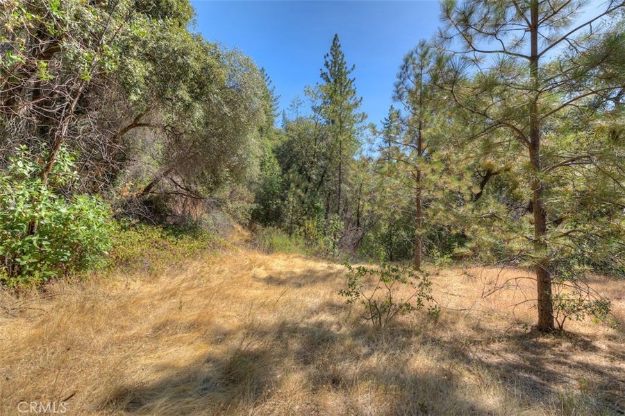 Property photo for 8700 Oro Quincy, Berry Creek, CA