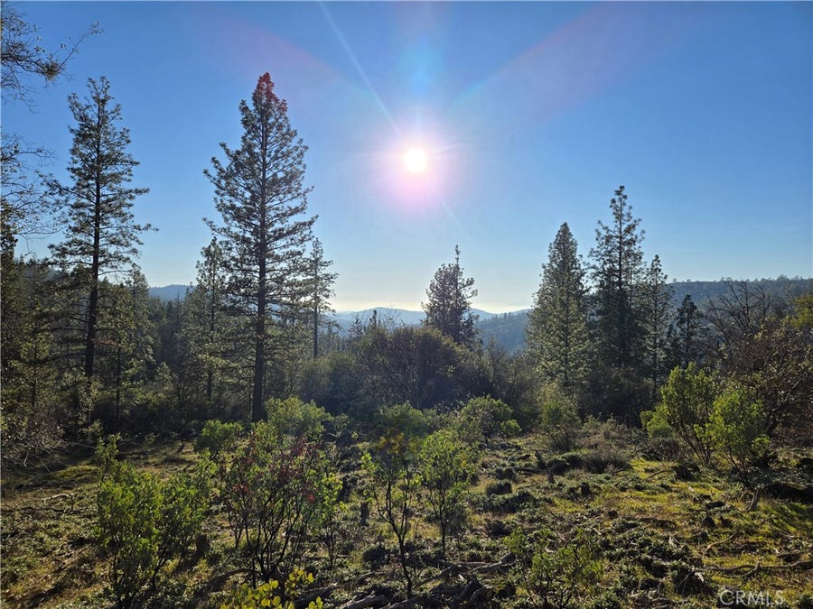 Property photo for 0 Double Eagle Way, Brownsville, CA