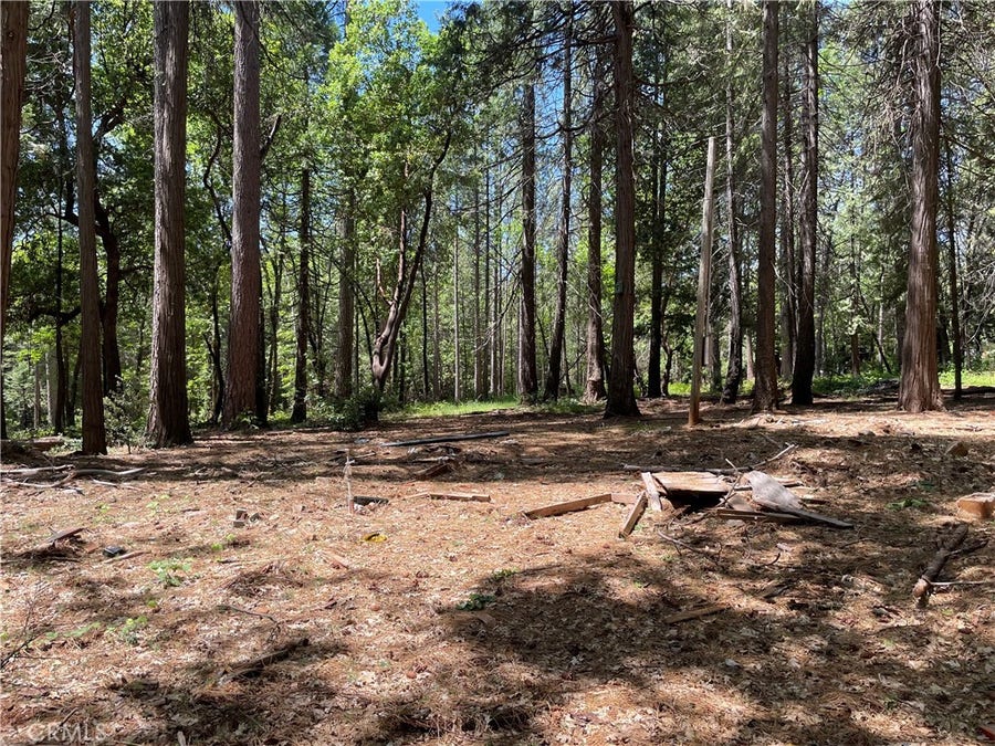 Property photo for 55 Buckeye, Forbestown, CA