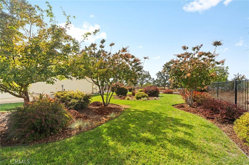 5548 Kemlyn Lane, Paradise, CA 95969 Beautiful mature "smoke trees" - gorgeous flowering trees
