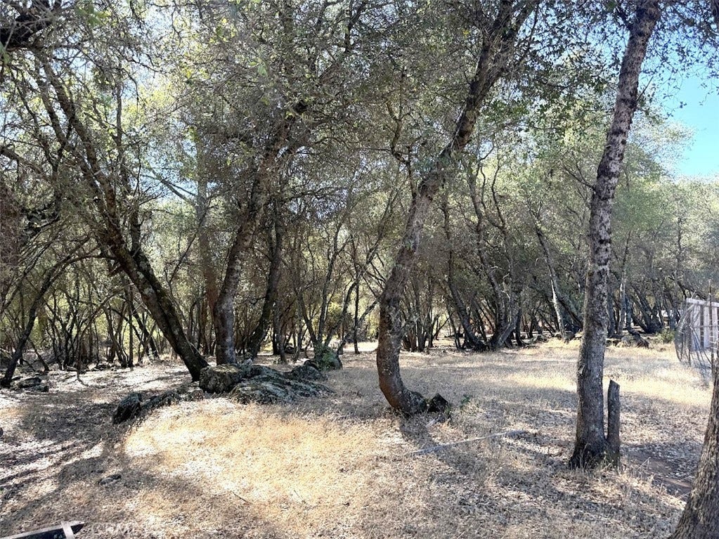 1816 Swedes Flat, Bangor, CA 95914