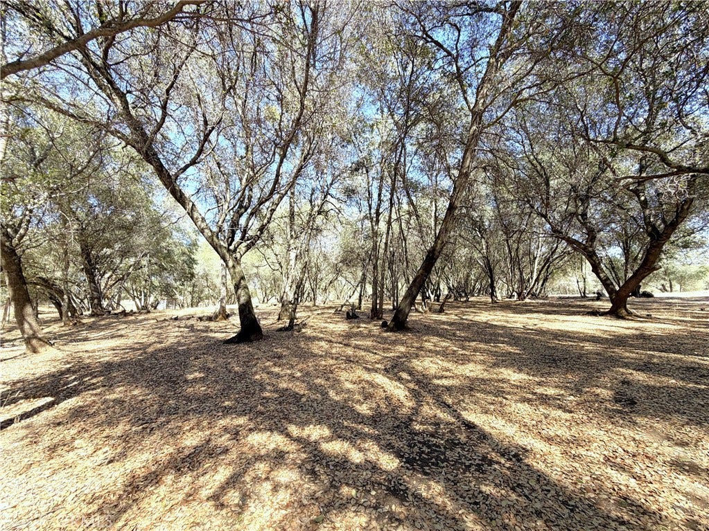 1816 Swedes Flat, Bangor, CA 95914