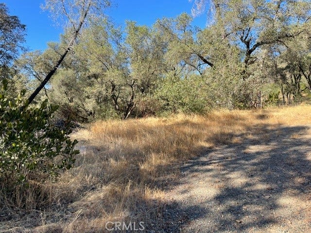0 Hurleton Swedes Flat Road, Oroville, CA 95966