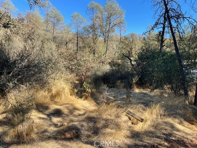 0 Hurleton Swedes Flat Road, Oroville, CA 95966