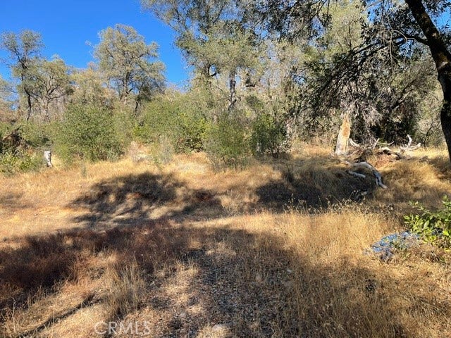 0 Hurleton Swedes Flat Road, Oroville, CA 95966