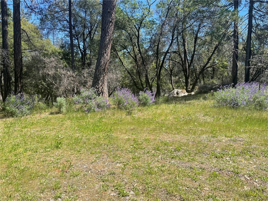 Property photo for 0 Lumpkin Road, Feather Falls, CA