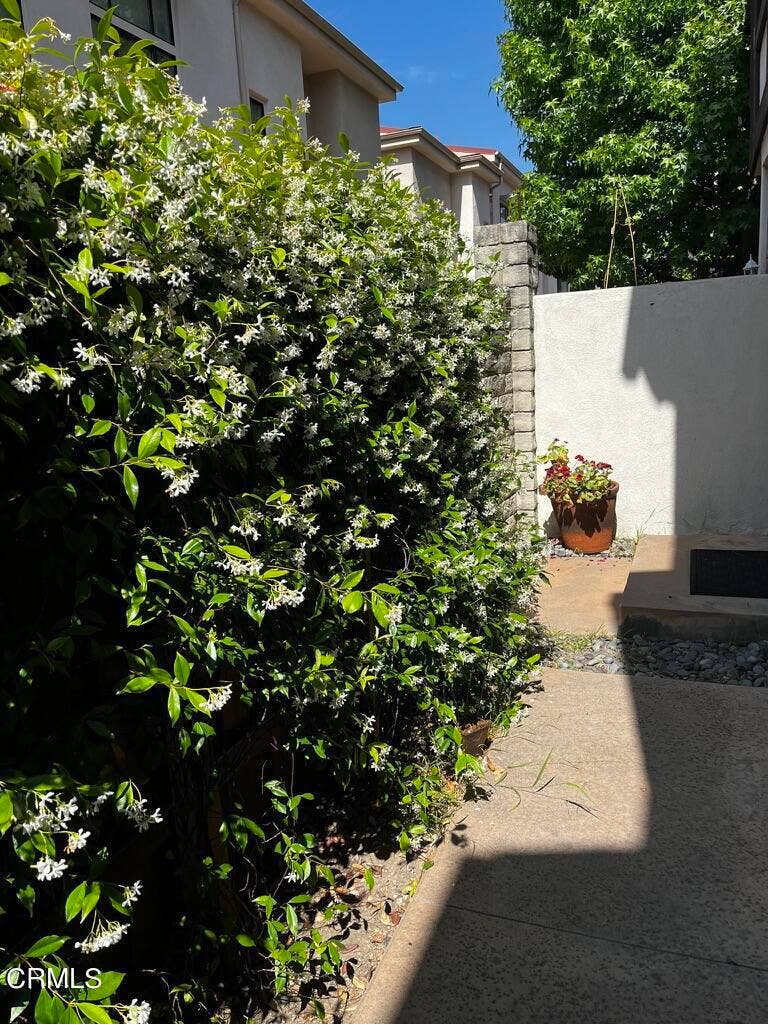 1122 Campbell Street, #3, Glendale, CA 91207 638AD67F-4EC3-4CC8-931A-D84649235C75_1_1
