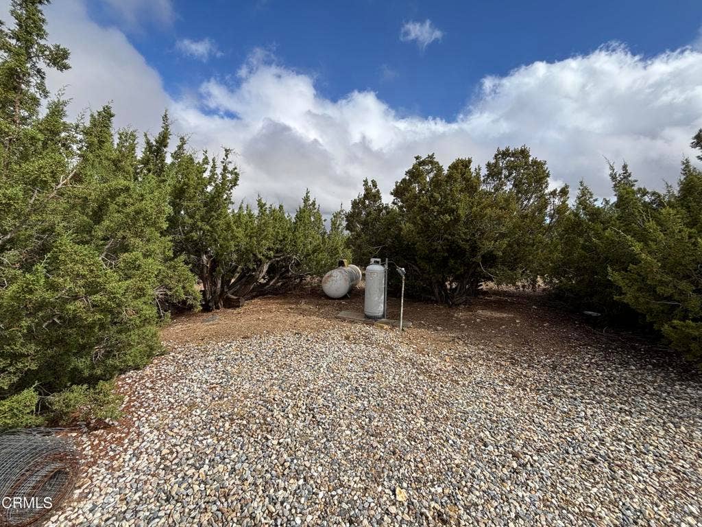 1631 Hollister Road, Pinon Hills, CA 92372 2