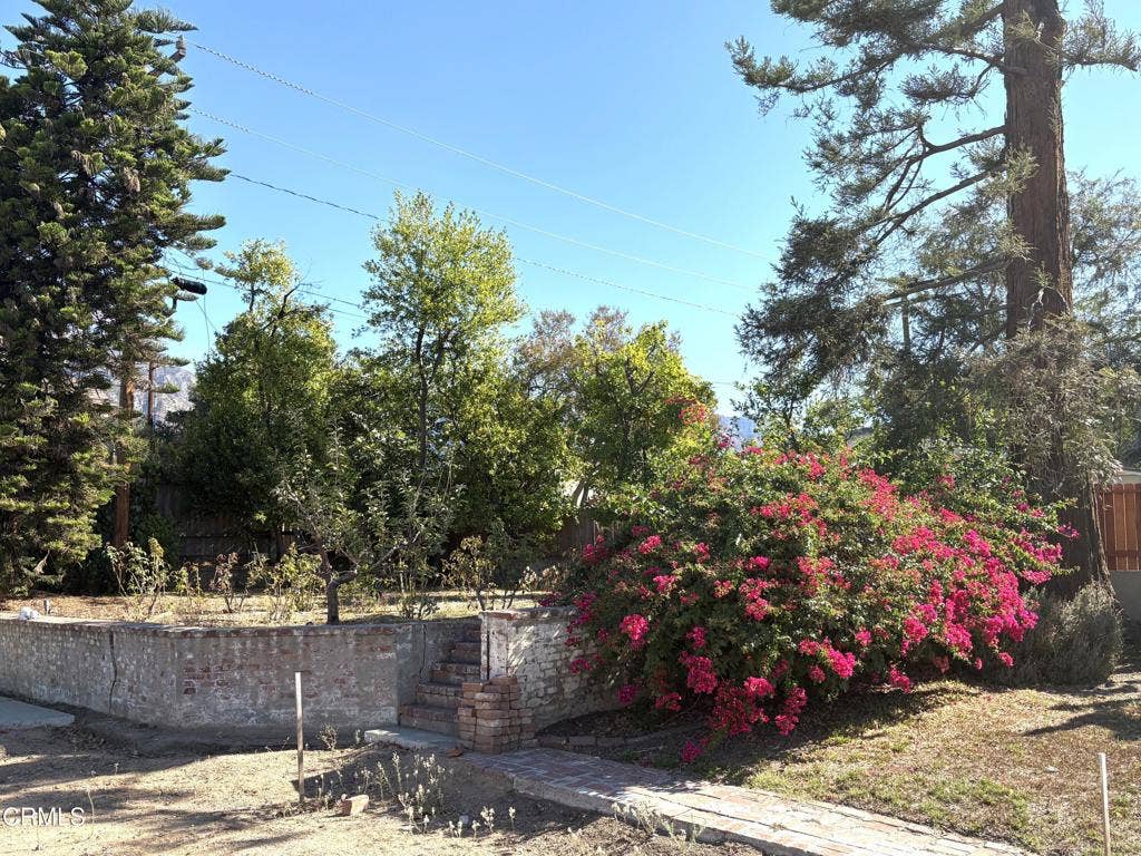 Rose Garden