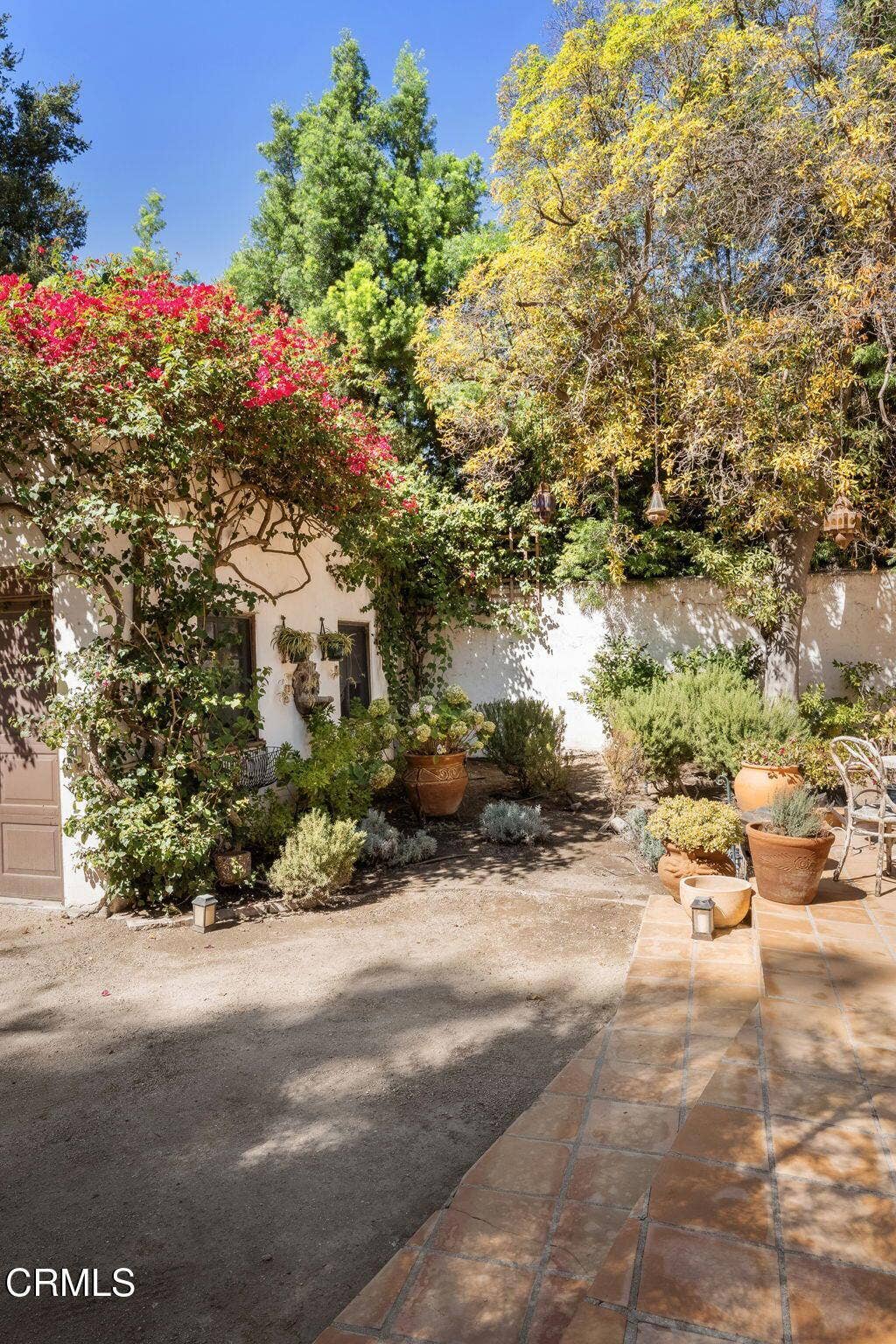 45-web-or-mls-DSC03229